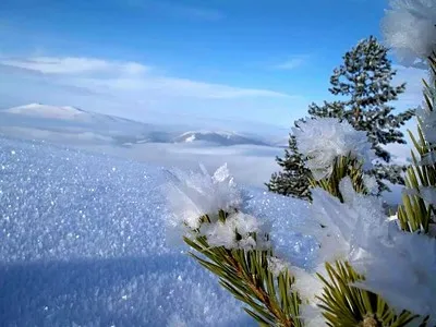 Neve cristallina alpina della stazione sciistica turca Sarikamish