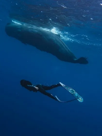 Immersioni a Mauritius