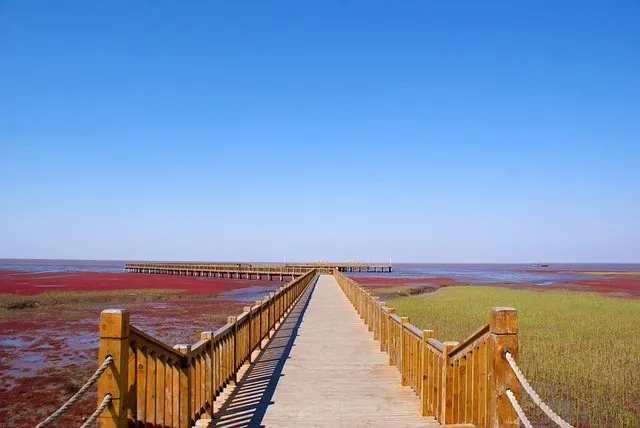 Spiaggia Rossa a Panjin, Cina