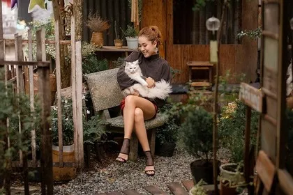 Visita Ottawa con animali domestici